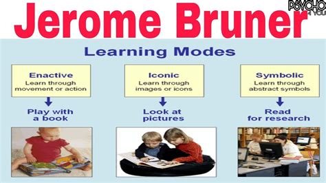 Jerome Bruner Learning Theory | Hot Sex Picture