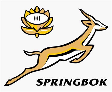 Vector Springbok Rugby Logo, HD Png Download - kindpng