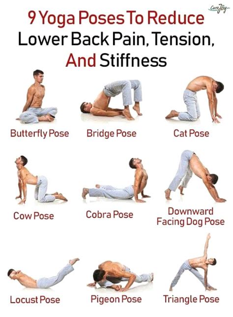 yoga exercises for lower back pain relief