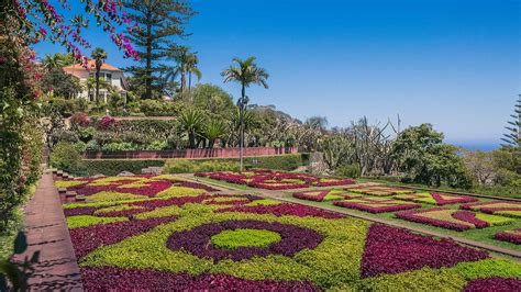 Botanical Gardens Madeira | Fasci Garden