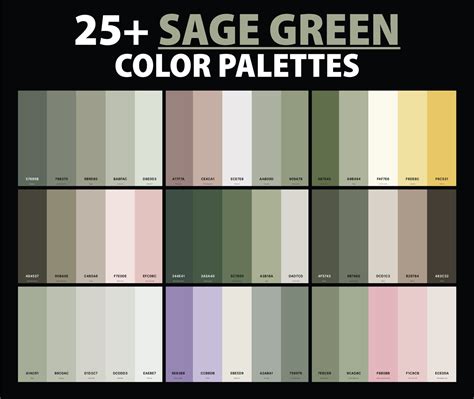 25+ Best Sage Green Color Palettes with Names and Hex Codes ...