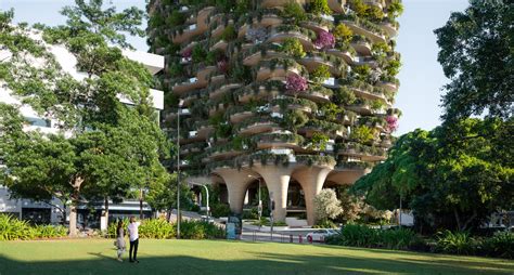 Urban Forest | Green Building