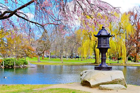 Boston Common & Public Garden | The Hubway