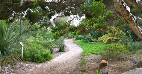 San Diego Botanic Garden (Encinitas) - Visitor Information & Reviews