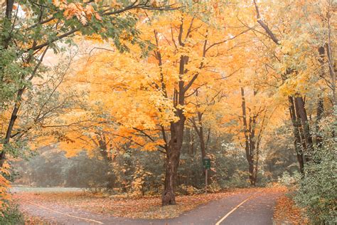 Fall colours in Canada : r/MostBeautiful