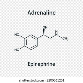 Adrenaline Epinephrine Chemical Structure Vector Illustration Stock ...