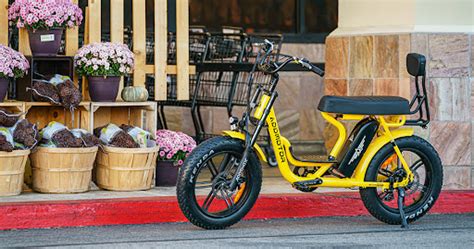 What are the Benefits of a Cruiser Electric Bike? - Programming Insider