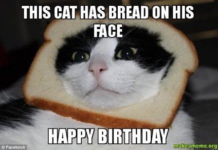 Funny Happy Birthday Cat Meme - 2HappyBirthday