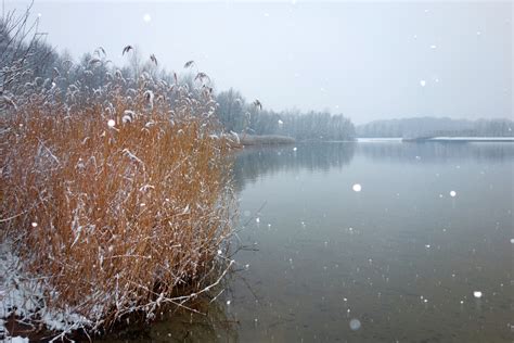 Lake Winter Snow Landscape Free Stock Photo - Public Domain Pictures