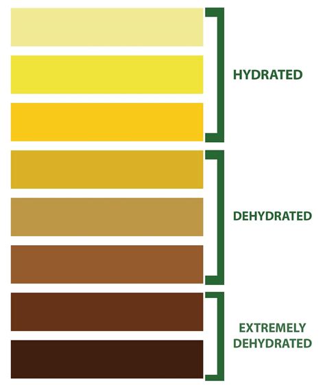 Hydration Chart Printable