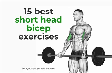 15 Short Head Bicep Exercises For Sleeve Busting Arms