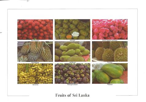 MY POSTCARD-PAGE: SRI LANKA ~ Fruits