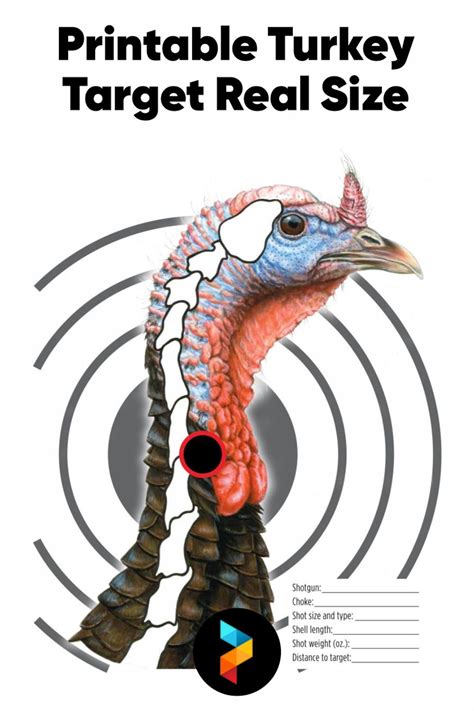 Printable Turkey Targets for Perfect Archery and Shotgun Practice ...