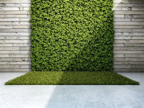 Best Grass Wall Stock Photos, Pictures & Royalty-Free Images - iStock