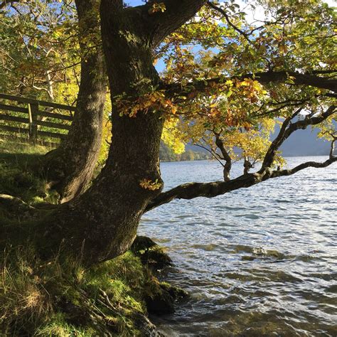 Lake District in Autumn | Lake district, Nature, Lake