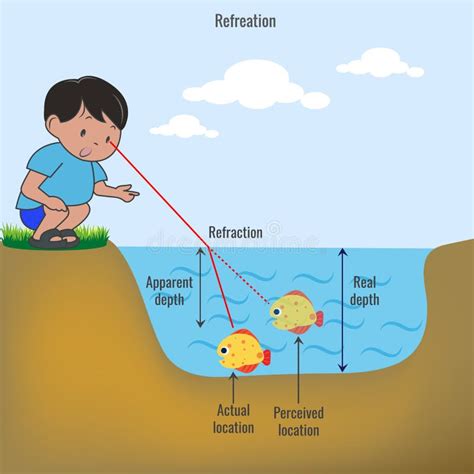 Refraction Light Ray Diagram Stock Illustrations – 592 Refraction Light ...