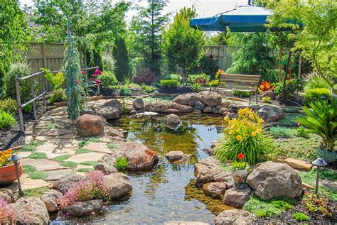 Koi Pond & Waterfall Backyard – Executive Care Inc