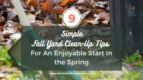 9 Simple Fall Yard Clean Up Tips For An Enjoyable Start In the Spring