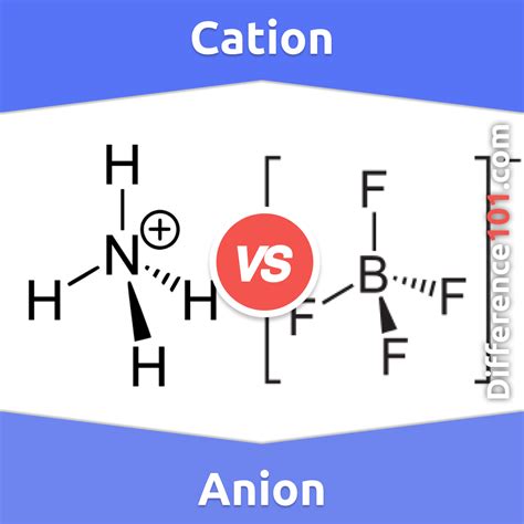 Cation vs. Anion: 7 Key Differences, Pros & Cons, Examples | Difference 101