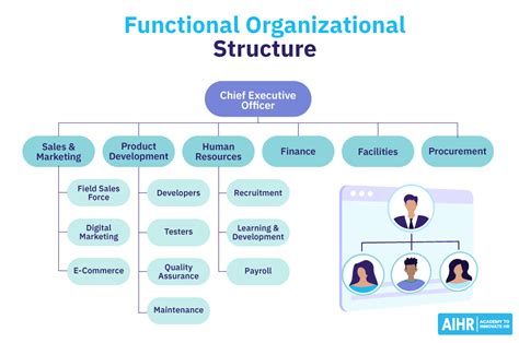 What Is a Functional Organizational Structure? - AIHR