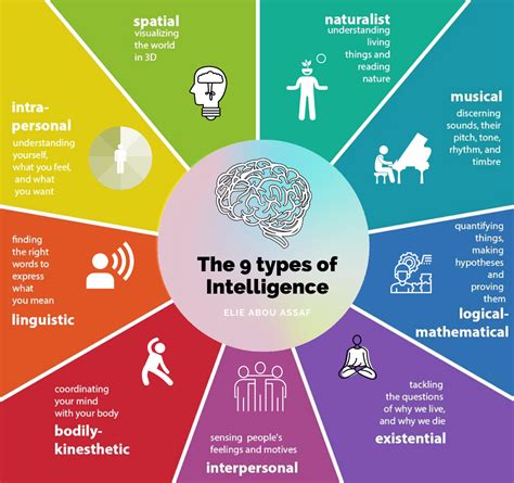 The 9 Types of Intelligence. The 9 Types of Intelligence | by Elie Abou ...