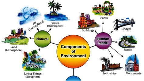 Ecology Definition - JavaTpoint