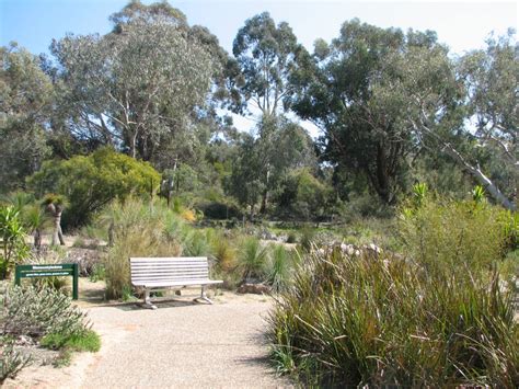 Australian National Botanic Gardens, Canberra - Trevor's Birding