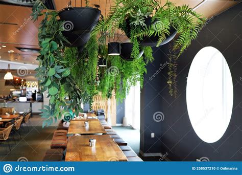 Modern Cafe Interior in Rustic Style Stock Photo - Image of wedding ...