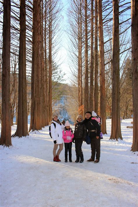 Travelogue by Mom of Three: The Sparkling Snowy Korea (14 Days 13 ...