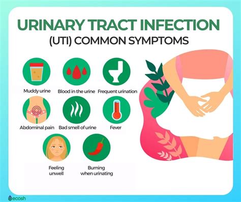 Urinary Tract Infection (UTI) Symptoms What It Feels Like, 50% OFF