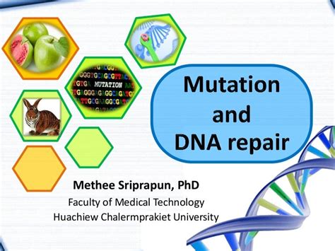 Mutation and DNA repair