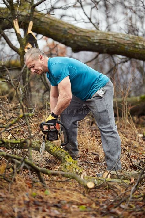 Lumberjack Working with Chainsaw Stock Image - Image of muscular ...