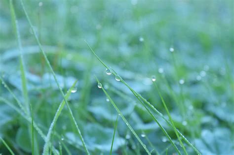 Complete Guide to Liquid Aeration For Your Lawn | Simply Green Lawn ...