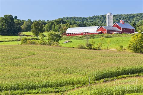 Vermont Farm Landscape Photograph by Alan L Graham - Pixels