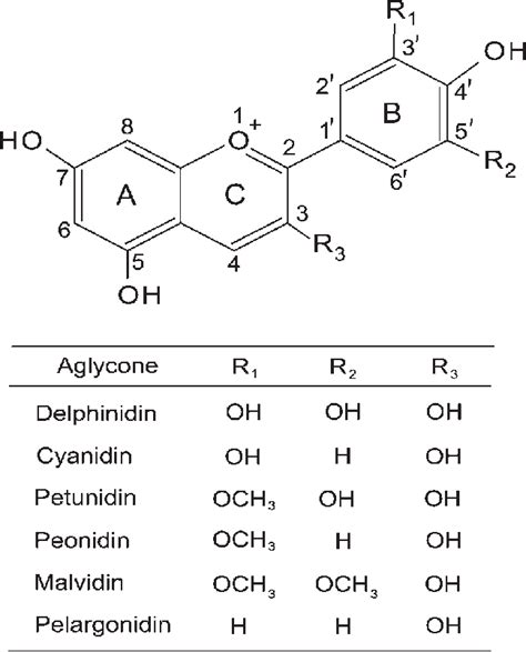 Common anthocyanidin structures. | Download Scientific Diagram