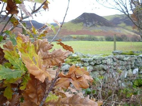 Autumn leaves. #lakedistrict | Lake district, Natural landmarks, Autumn ...