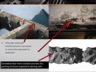 Corrosion Effects in Concrete