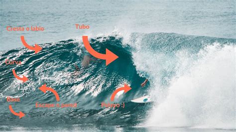 Las olas en el surf, aprende todo sobre ellas ¡ - Horizon