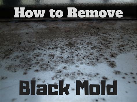 The Basics of Black Mold Removal - Dengarden