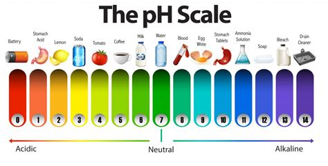 Ph Scale Horizontal