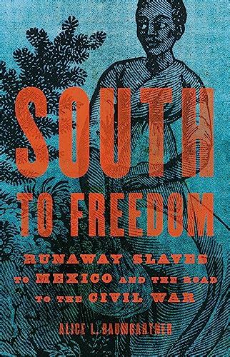 South to Freedom: Runaway Slaves to Mexico and the Road to the Civil ...