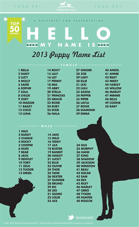 Puppy Dog Names on Sale | www.aikicai.org