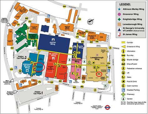 St Thomas Hospital Floor Plan - floorplans.click