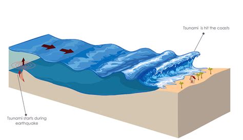 Indonesia tsunami: why the waves were so deadly - Vox