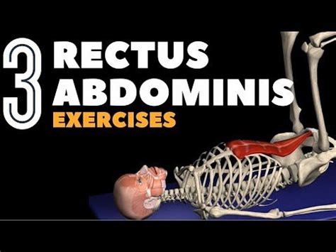 Target Your Rectus Abdominis with 3 Ab Exercises - YouTube Pelvic Tilt ...