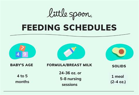 Sample Baby Feeding Schedule by Age - Is This Normal