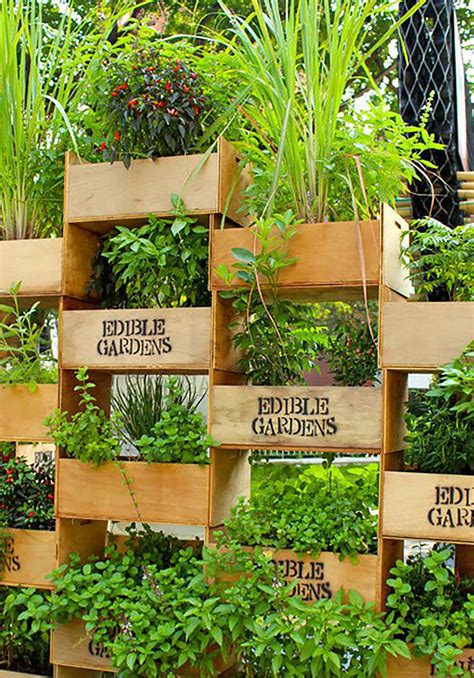 Vertical Gardening Ideas Vegetables Vertically Timelymag