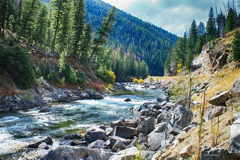 Central Salmon River, Idaho in Autumn