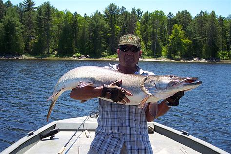 Fishing & Guides | Fishing French River, Bear's Den Lodge