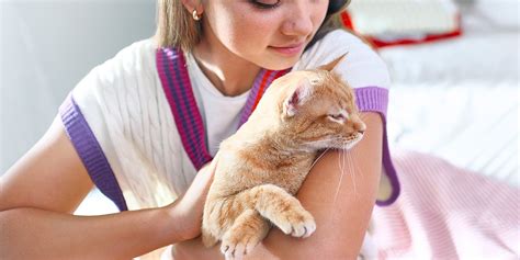 Cat Rash: Common Causes, Symptoms & Treatments | Purina US